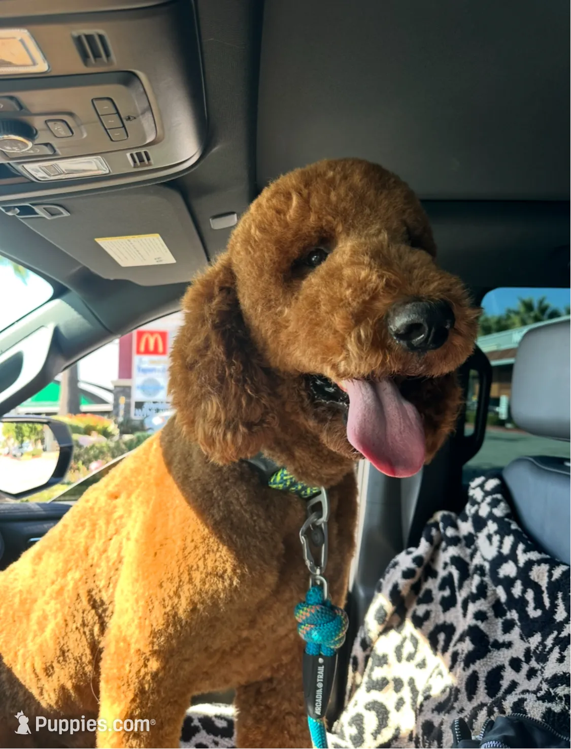 processed/d76e7d58-1477-49c4-b99b-9c177bb8278c/listing/624da291-043e-4a5e-9220-9dda013e9676/5d75f929-ca67-4674-a7cf-cd63d0ed8475