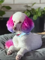 processed/d76e7d58-1477-49c4-b99b-9c177bb8278c/listing/624da291-043e-4a5e-9220-9dda013e9676/6df5bdc9-2712-4dfc-bf6f-5272db7aceb1