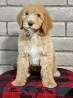 processed/d76e7d58-1477-49c4-b99b-9c177bb8278c/listing/624da291-043e-4a5e-9220-9dda013e9676/8c38fa25-ecf4-428b-a7da-77b0a61a846a