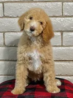 processed/d76e7d58-1477-49c4-b99b-9c177bb8278c/listing/624da291-043e-4a5e-9220-9dda013e9676/f4c89133-a3de-42cf-a524-6358fa8742ed