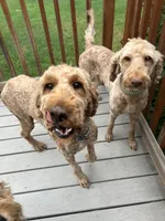 processed/d771a87f-df10-42ca-80b4-6658d62347e7/facility/057a287d-e075-41fe-85ca-85eae0e86d1b