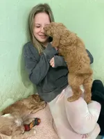 processed/d771a87f-df10-42ca-80b4-6658d62347e7/facility/320dd1c0-7085-4509-83c6-146130612187