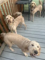 processed/d771a87f-df10-42ca-80b4-6658d62347e7/facility/607a07c7-48aa-468f-8f3a-89eb7ec33ed4