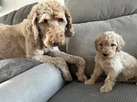 processed/d771a87f-df10-42ca-80b4-6658d62347e7/facility/652b212b-542c-4ed4-aab5-29cb3ed82546