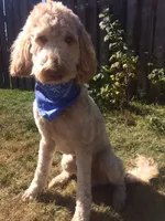 processed/d771a87f-df10-42ca-80b4-6658d62347e7/facility/6d1426a1-587a-4571-94d9-e8bb5409c3fc