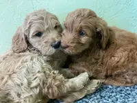 processed/d771a87f-df10-42ca-80b4-6658d62347e7/facility/b7659ea4-67ec-4b14-83c8-a462ad76b0d6