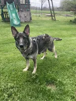 processed/d77ac907-62ad-4922-8210-199880c19955/facility/1684277e-3db8-4a5f-855c-c06405b958ab