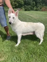 processed/d77ac907-62ad-4922-8210-199880c19955/facility/89608485-62ed-4b3d-8314-fa3893131c1a