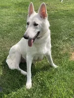 processed/d77ac907-62ad-4922-8210-199880c19955/facility/8a52beaa-484c-4afc-8213-df7f73afc419