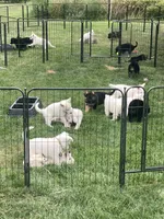 processed/d77ac907-62ad-4922-8210-199880c19955/facility/d35f2740-d188-45a1-99bd-939f952f0d8a