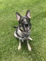 processed/d77ac907-62ad-4922-8210-199880c19955/facility/d6a491fd-895e-4151-b1f6-242f2e609eea