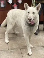 processed/d77ac907-62ad-4922-8210-199880c19955/facility/f33fcbef-3815-4843-b227-58d2f0d2d6be