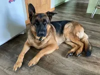 processed/d77ac907-62ad-4922-8210-199880c19955/facility/f669ee96-9d86-4f60-a476-d2eb8a2c2452