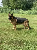 processed/d77ac907-62ad-4922-8210-199880c19955/facility/f907548d-b793-4e5a-ad41-479cff8a4433