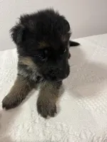 processed/d77e1f66-b9f1-4d10-8638-c35908ee1956/facility/399a6f68-e1d6-4c7a-98ca-a2d8ffae78bc