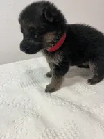 processed/d77e1f66-b9f1-4d10-8638-c35908ee1956/facility/3cb9967c-d4b4-4096-b9bb-6910ac6e2bc1