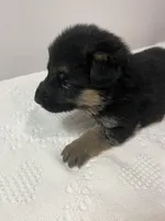 processed/d77e1f66-b9f1-4d10-8638-c35908ee1956/facility/b9805999-3e3b-4064-90a9-682a85302798