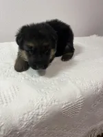 processed/d77e1f66-b9f1-4d10-8638-c35908ee1956/facility/cef50c0e-01a8-43e3-9372-12bc94fffefc