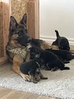 processed/d77e1f66-b9f1-4d10-8638-c35908ee1956/facility/effbee4d-7655-47ce-9123-21b34a29e23e