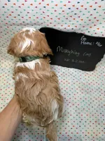 processed/d78364ba-f28e-479a-8548-3940ecf854ca/listing/0b1e56c9-7a30-4745-84b6-9ac4796ec0c4/b8d009ff-be17-4bb1-a2e7-c6e3b610765b