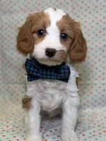 processed/d78364ba-f28e-479a-8548-3940ecf854ca/listing/0b1e56c9-7a30-4745-84b6-9ac4796ec0c4/d1f83527-d45d-4c35-872a-352087e4b3b2