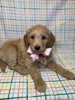 processed/d78364ba-f28e-479a-8548-3940ecf854ca/listing/661170b0-79b5-4460-b5d9-8237f1644119/137a7113-0136-4ec2-92bb-fa5c90bd03fe