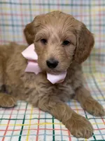 processed/d78364ba-f28e-479a-8548-3940ecf854ca/listing/661170b0-79b5-4460-b5d9-8237f1644119/ab38d8a7-171b-4e4d-90dd-c9b9c76f7b27