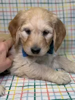 processed/d78364ba-f28e-479a-8548-3940ecf854ca/listing/7ecec145-238a-4f6a-a16e-314eca7e8571/0257d64f-1d5e-4349-b715-2478e4ae5e7b