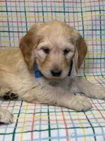 processed/d78364ba-f28e-479a-8548-3940ecf854ca/listing/7ecec145-238a-4f6a-a16e-314eca7e8571/8a335533-35a9-4c2d-bbc9-9828c6cc4771