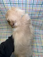 processed/d78364ba-f28e-479a-8548-3940ecf854ca/listing/7ecec145-238a-4f6a-a16e-314eca7e8571/e61b0b6c-2f1d-4df4-b9b0-f972cec5139c