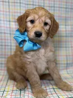 processed/d78364ba-f28e-479a-8548-3940ecf854ca/listing/d92f1fbe-ae3c-494e-9c14-f82a4d36041c/5b7f96cc-1376-4b31-b73b-eebde8b0e4e3