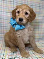 processed/d78364ba-f28e-479a-8548-3940ecf854ca/listing/d92f1fbe-ae3c-494e-9c14-f82a4d36041c/7acaa945-23d3-4133-8371-097289a39883