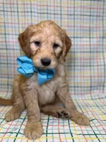 processed/d78364ba-f28e-479a-8548-3940ecf854ca/listing/d92f1fbe-ae3c-494e-9c14-f82a4d36041c/da315a4b-85e5-4bea-80b1-53126b76fc11