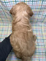 processed/d78364ba-f28e-479a-8548-3940ecf854ca/listing/d92f1fbe-ae3c-494e-9c14-f82a4d36041c/ea90af7f-74a4-4195-a868-e16e2a08bbf4