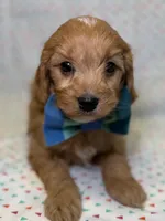 processed/d78364ba-f28e-479a-8548-3940ecf854ca/listing/f2f37a97-3f8b-41d2-a252-e4ee09acb7fa/6d7e12d4-f2f7-4687-a25d-7314771ba75c