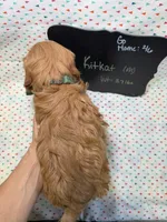 processed/d78364ba-f28e-479a-8548-3940ecf854ca/listing/f2f37a97-3f8b-41d2-a252-e4ee09acb7fa/bd614c89-a110-4b9e-8df2-e689075d829d