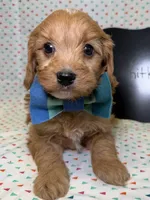 processed/d78364ba-f28e-479a-8548-3940ecf854ca/listing/f2f37a97-3f8b-41d2-a252-e4ee09acb7fa/ee403aa7-2fd5-4f4f-bb08-940b44565599