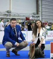 Blue boy, a male Yorkshire Terrier for sale in Nampa, ID – Photo 6 of 9