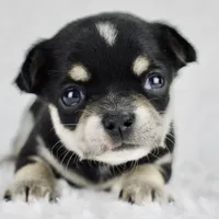 processed/d7924888-71c2-4fda-be52-821361a622dc/facility/4bd8c783-a203-4c2e-acf3-ac7b00d6b411