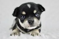 processed/d7924888-71c2-4fda-be52-821361a622dc/facility/4bd8c783-a203-4c2e-acf3-ac7b00d6b411