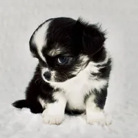 processed/d7924888-71c2-4fda-be52-821361a622dc/facility/5df8f4bc-93fe-409b-b1a2-db6e8606fa23