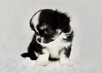 processed/d7924888-71c2-4fda-be52-821361a622dc/facility/5df8f4bc-93fe-409b-b1a2-db6e8606fa23