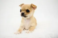 processed/d7924888-71c2-4fda-be52-821361a622dc/facility/90f407a6-8b6b-4feb-82cc-15786273f5e0