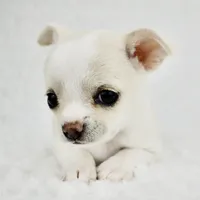 processed/d7924888-71c2-4fda-be52-821361a622dc/facility/92d2aa43-6264-4092-886e-3e96ba050871