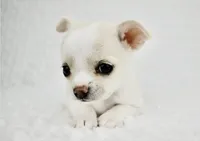 processed/d7924888-71c2-4fda-be52-821361a622dc/facility/92d2aa43-6264-4092-886e-3e96ba050871