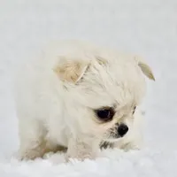 processed/d7924888-71c2-4fda-be52-821361a622dc/facility/b682e1d1-f6dc-46cc-b001-64fd3171cc4a