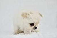 processed/d7924888-71c2-4fda-be52-821361a622dc/facility/b682e1d1-f6dc-46cc-b001-64fd3171cc4a