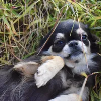 processed/d7924888-71c2-4fda-be52-821361a622dc/facility/cd95e540-e8a4-485a-bea8-c0b18ae7b9db