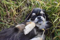 processed/d7924888-71c2-4fda-be52-821361a622dc/facility/cd95e540-e8a4-485a-bea8-c0b18ae7b9db