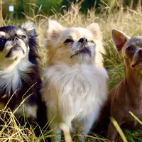 processed/d7924888-71c2-4fda-be52-821361a622dc/facility/cef90fe8-7fee-4f90-91ae-9e59552e8af1